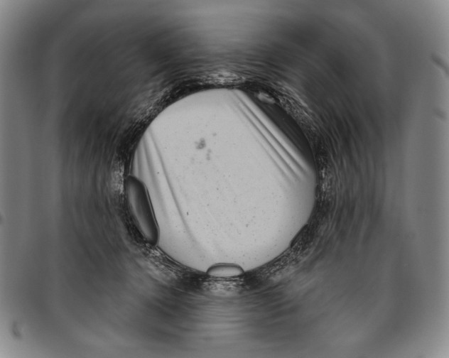 X0000096470368200802211156
