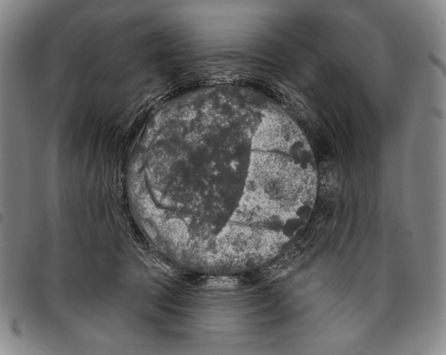 X0000096470369200802211156