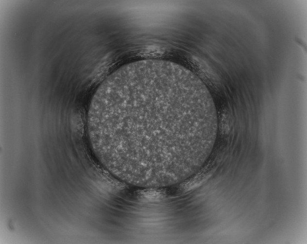 X0000096470370200802211156