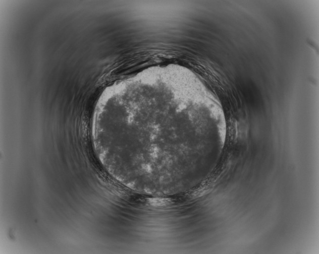 X0000096470371200802211156