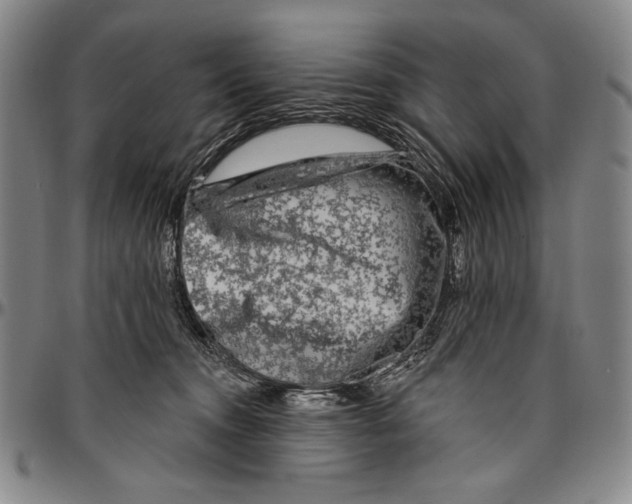 X0000096470372200802211156