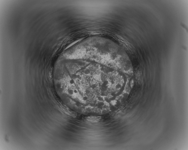 X0000096470373200802211156