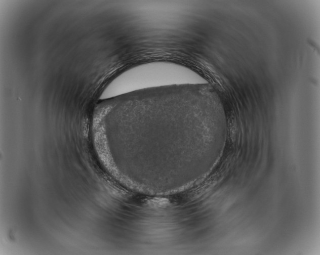 X0000096470374200802211156