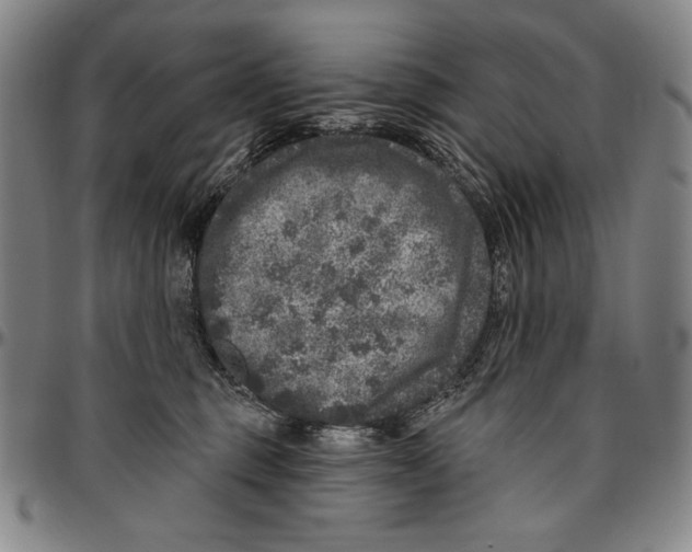 X0000096470375200802211156