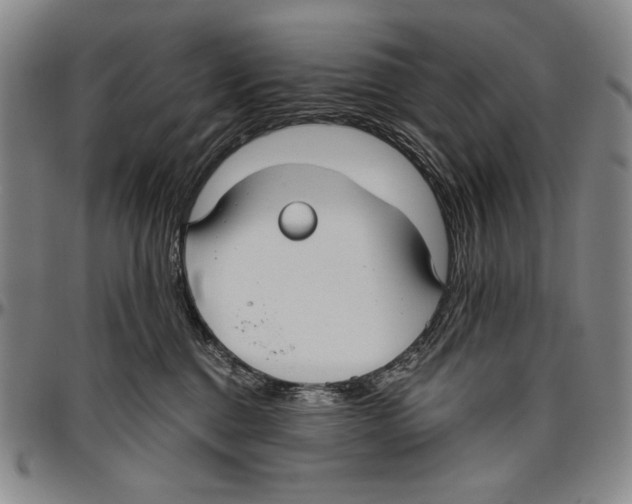 X0000096470376200802211156