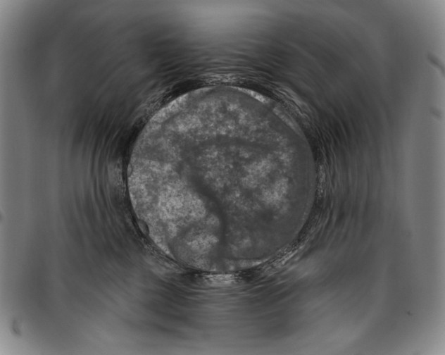 X0000096470377200802211156