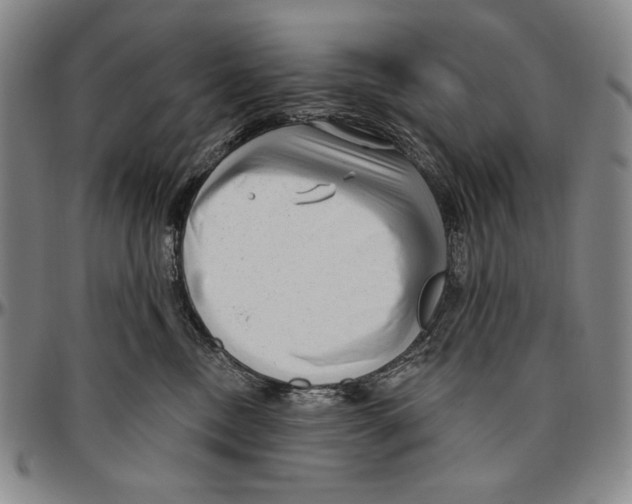 X0000096470378200802211156