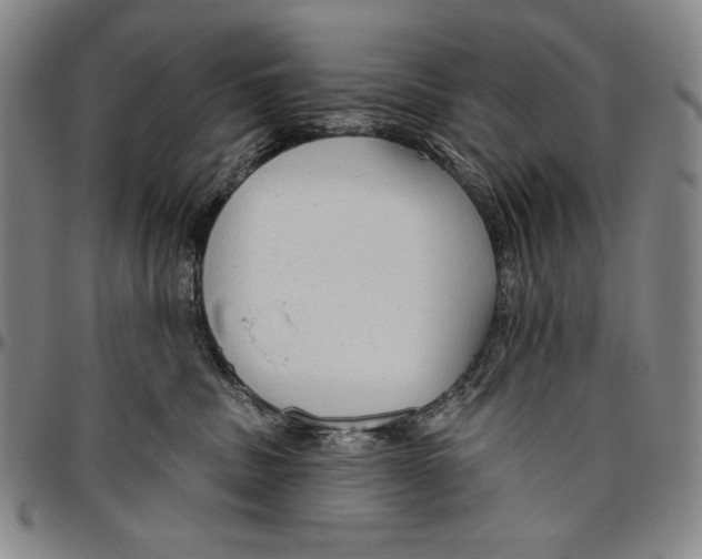 X0000096470379200802211156