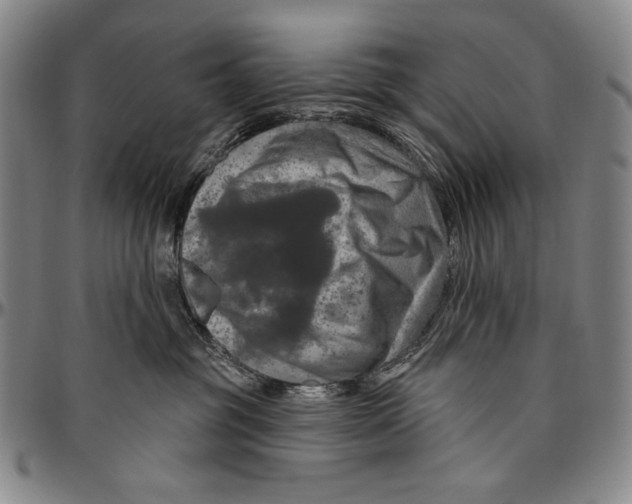 X0000096470381200802211156