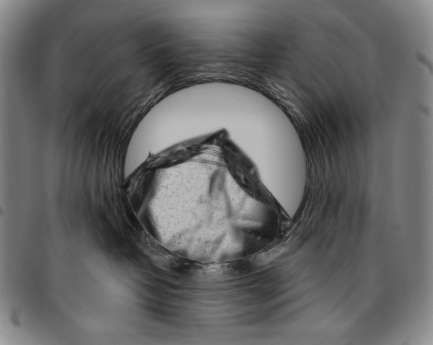 X0000096470382200802211156