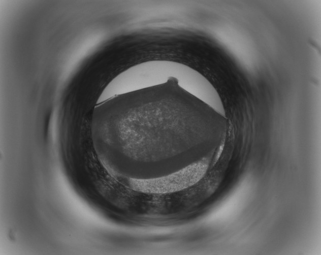 X0000096470383200802211156