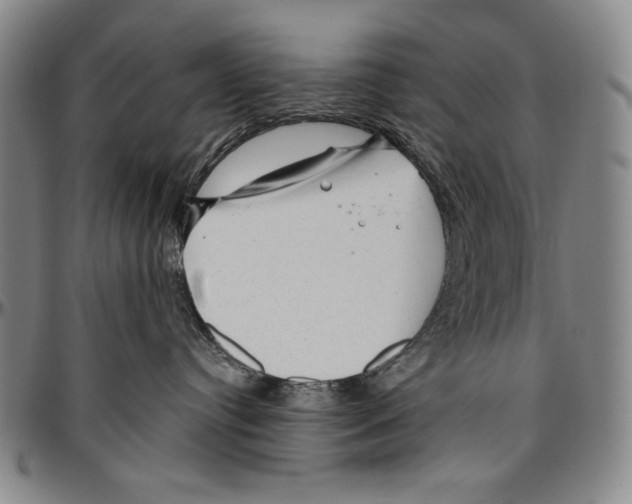 X0000096470384200802211156