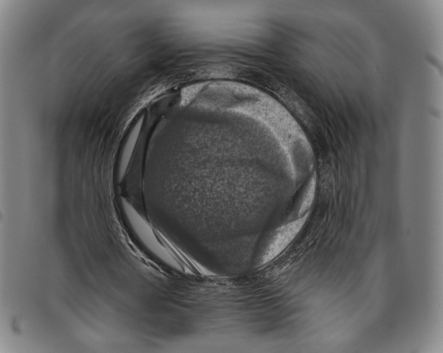 X0000096470386200802211155