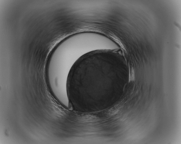 X0000096470387200802211155