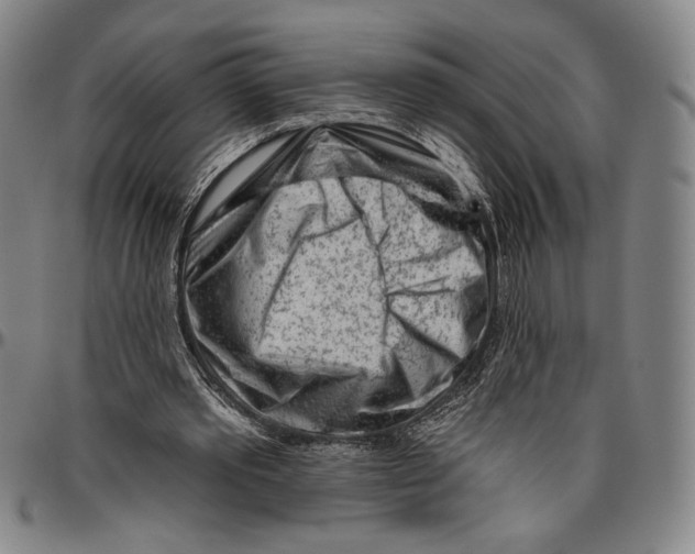 X0000096470389200802211155