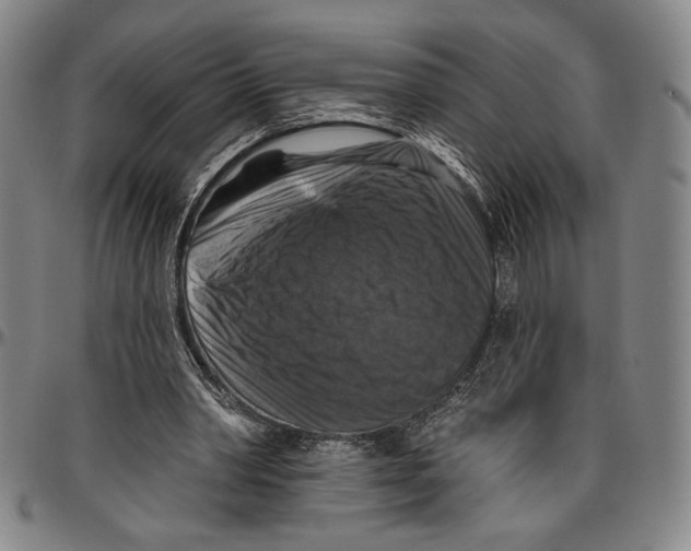 X0000096470390200802211155