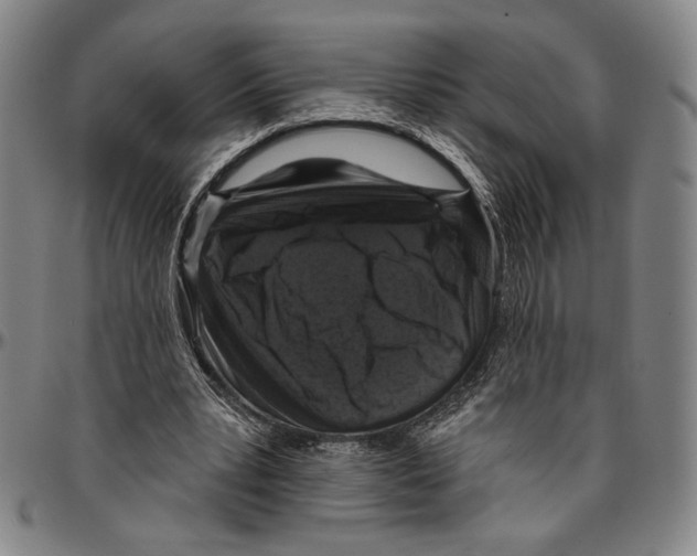 X0000096470391200802211155