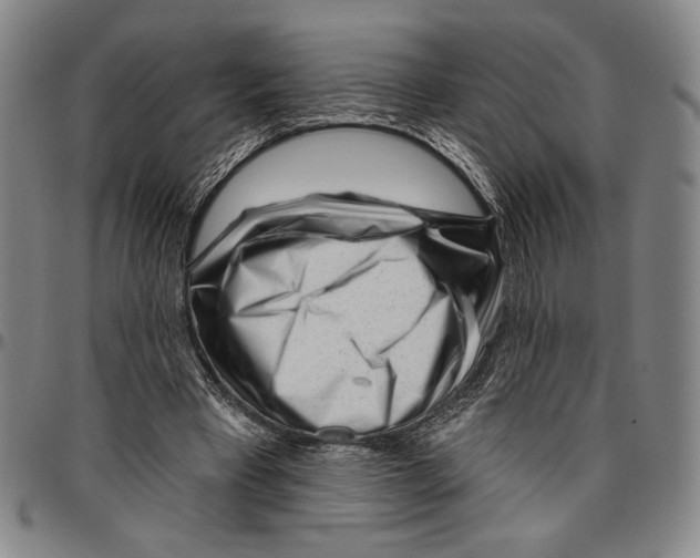 X0000096470393200802211155