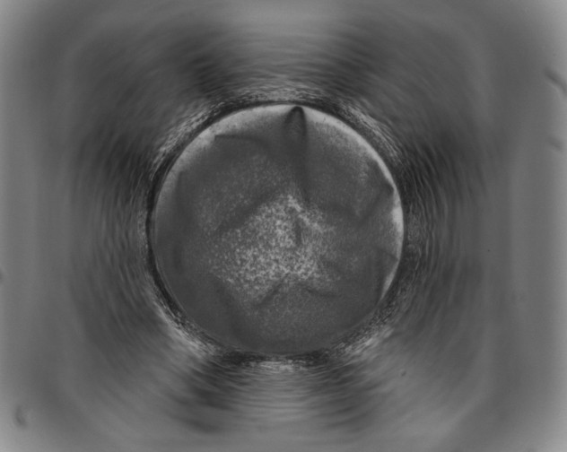 X0000096470394200802211155