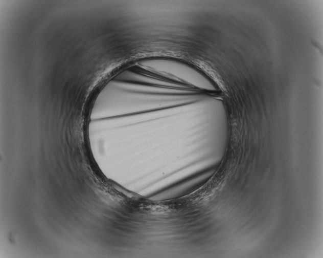 X0000096470395200802211155