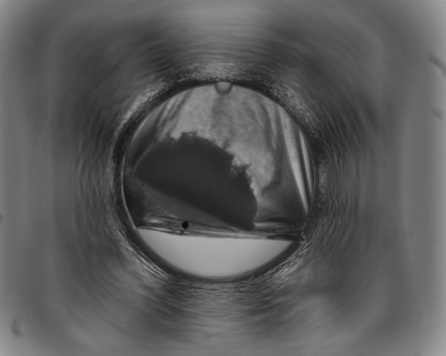 X0000096470396200802211155