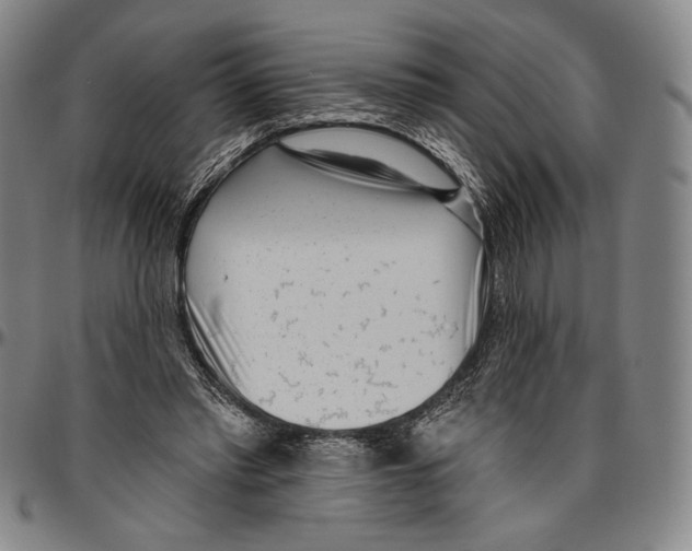 X0000096470397200802211155
