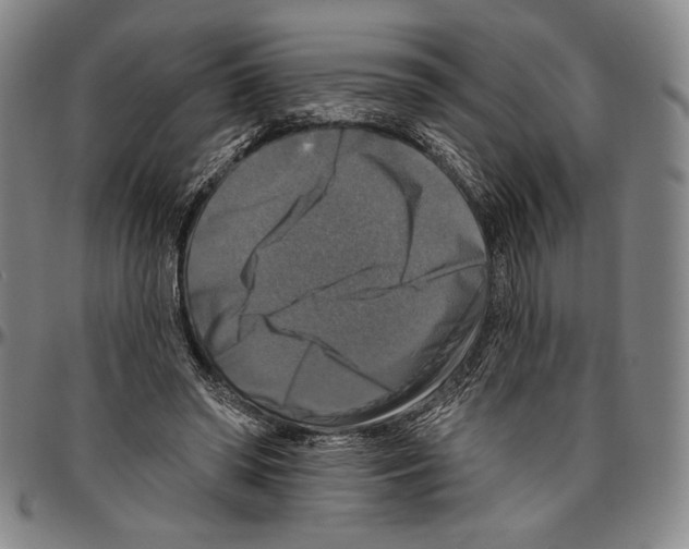 X0000096470398200802211155
