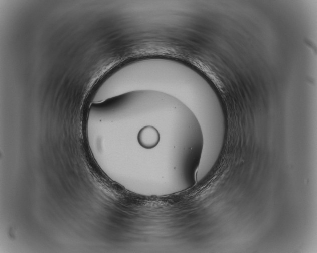 X0000096470399200802211155