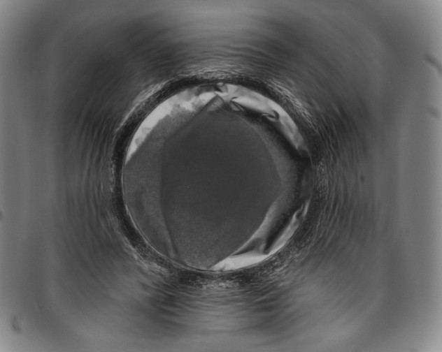 X0000096470400200802211155