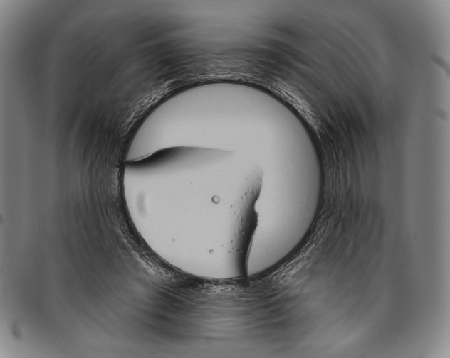 X0000096470401200802211155