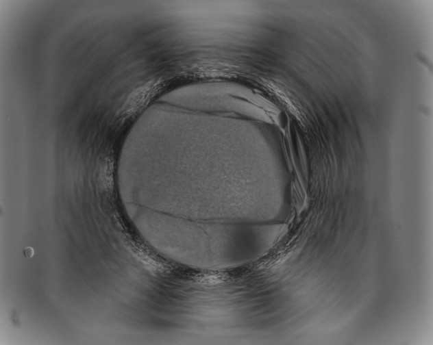 X0000096470402200802211155