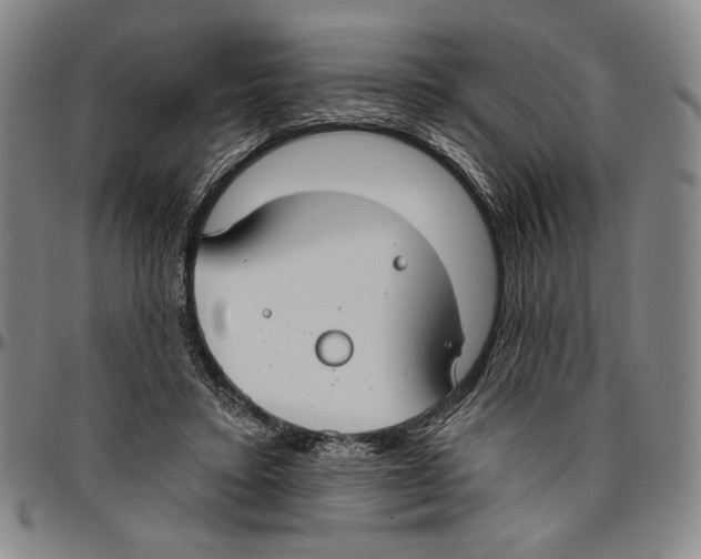 X0000096470403200802211155