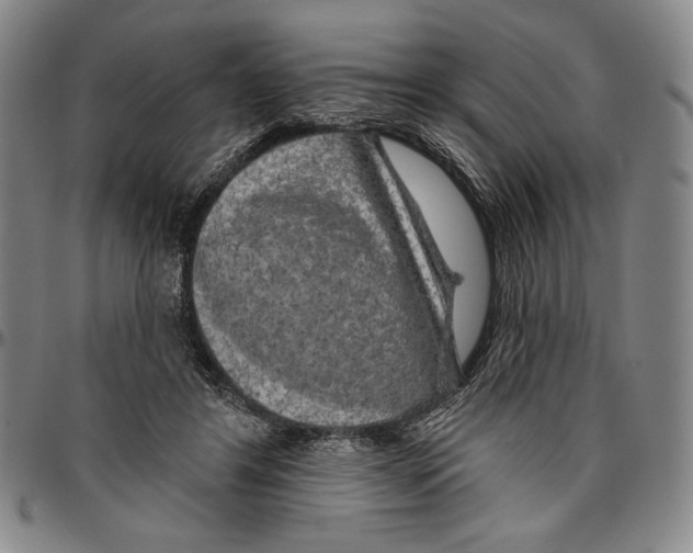 X0000096470404200802211155