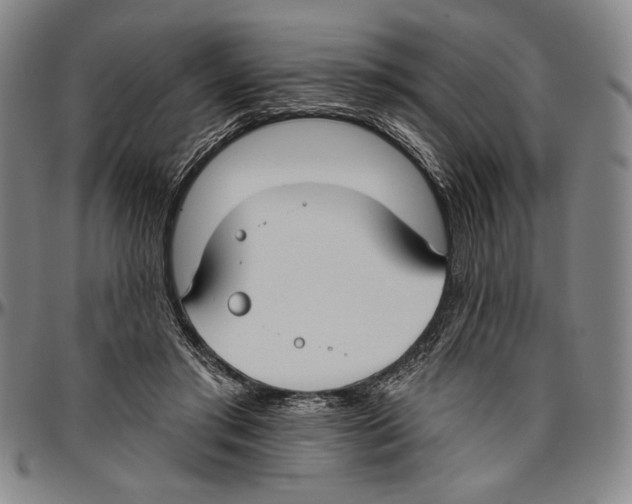 X0000096470405200802211155