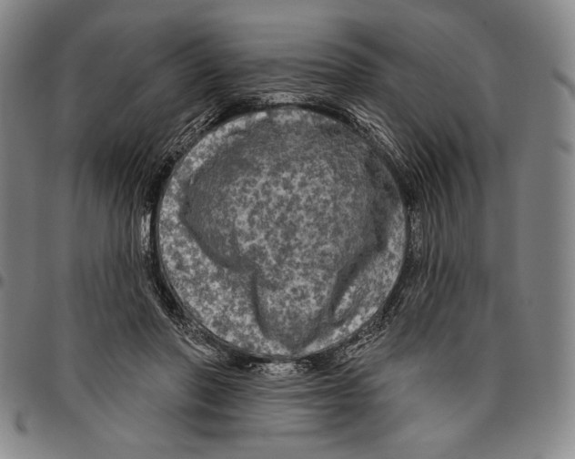X0000096470406200802211155
