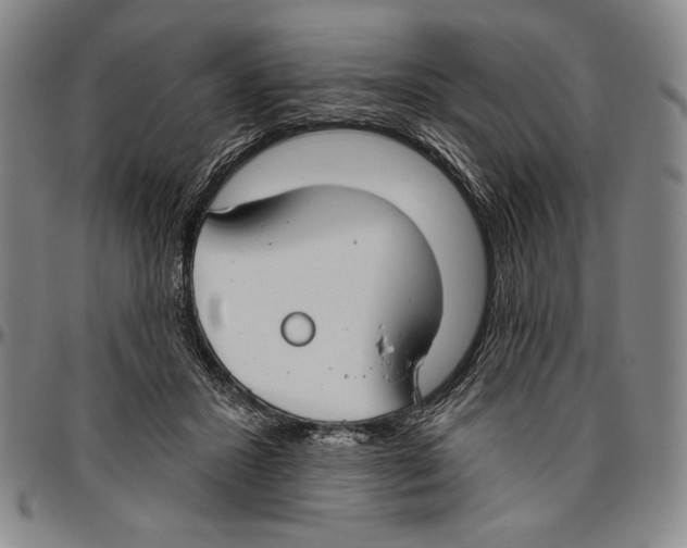 X0000096470407200802211155
