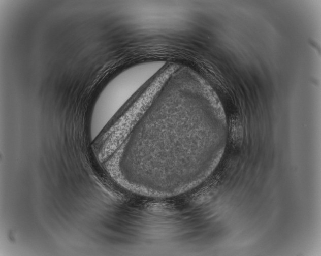 X0000096470408200802211155