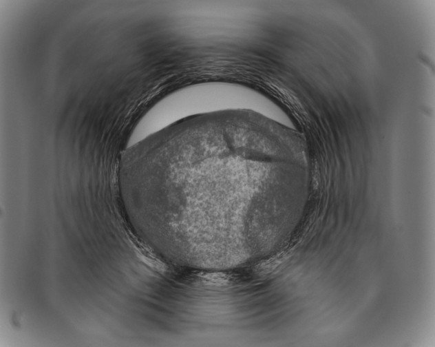 X0000096470409200802211155