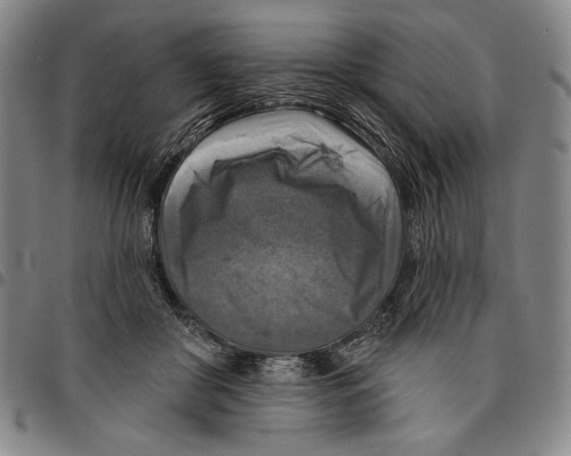 X0000096470410200802211155