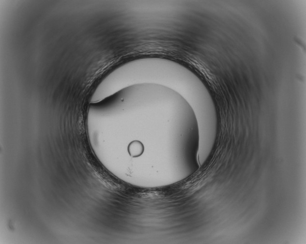 X0000096470411200802211155