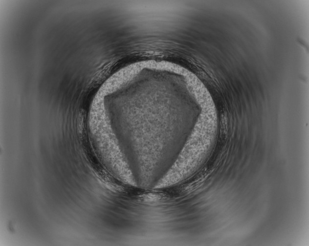 X0000096470412200802211155
