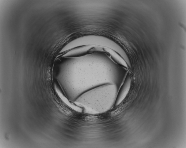 X0000096470413200802211155
