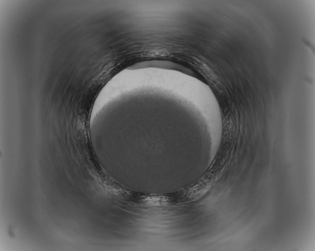 X0000096470415200802211155