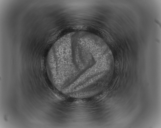 X0000096470416200802211155