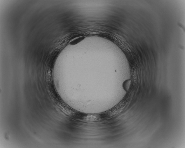 X0000096470418200802211155