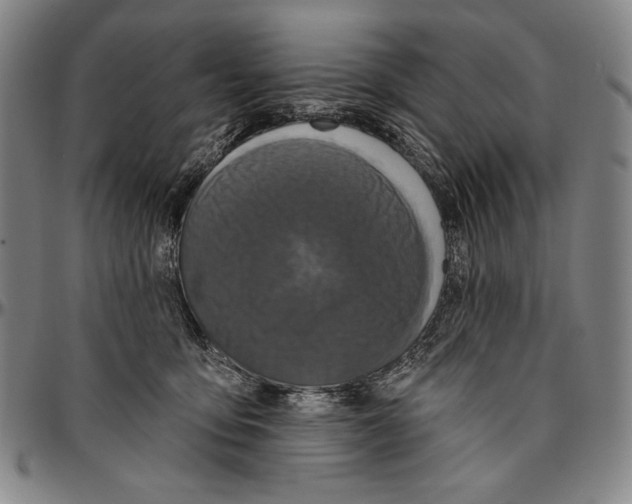 X0000096470419200802211155