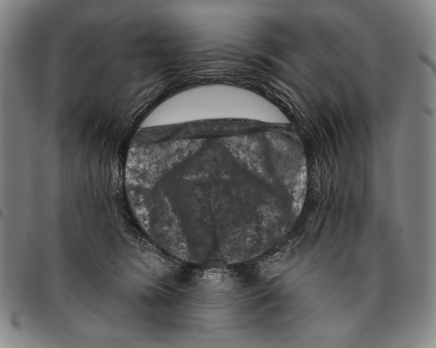 X0000096470420200802211155