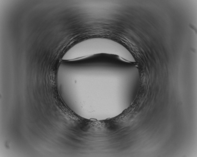 X0000096470421200802211155