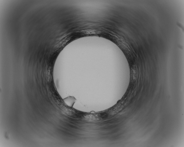 X0000096470422200802211155