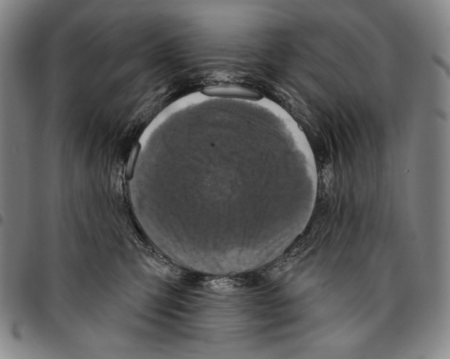 X0000096470423200802211155
